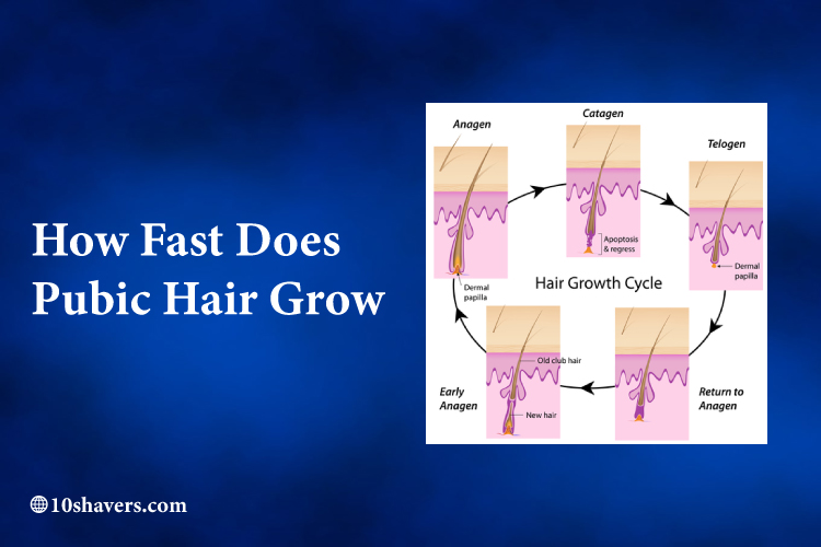 How-Fast-Does-Pubic-Hair-Grow